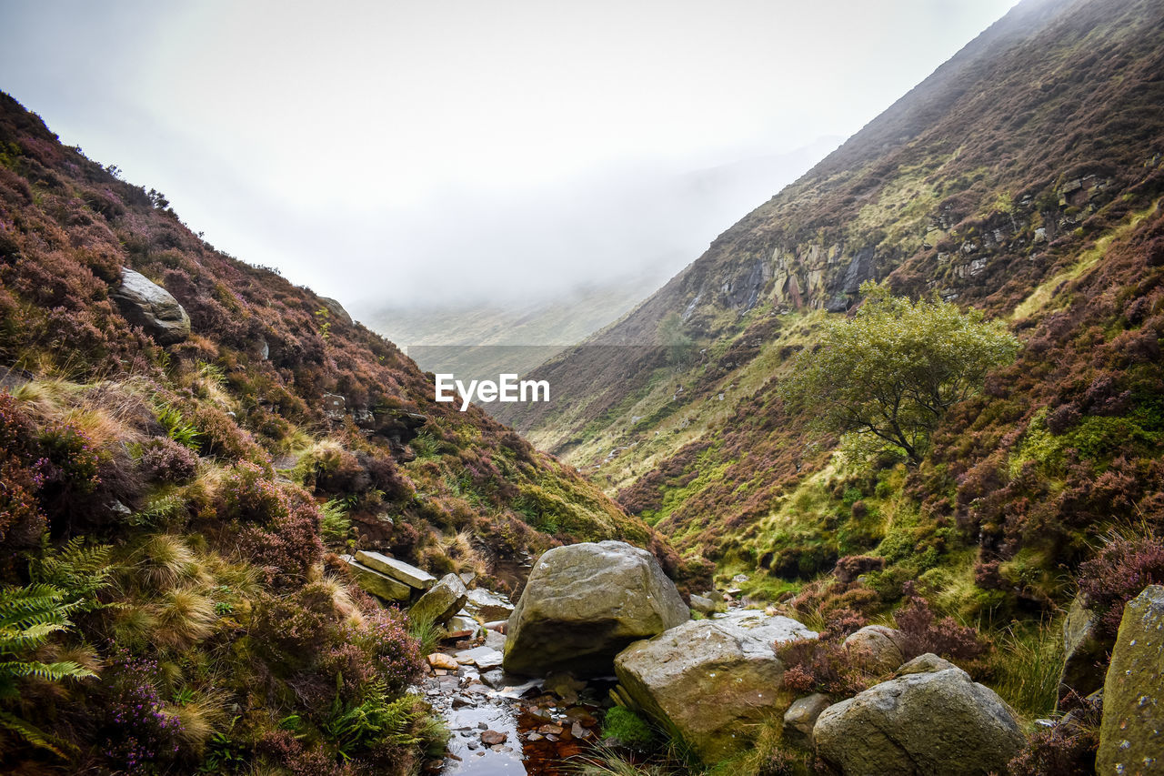 scenic view of mountains