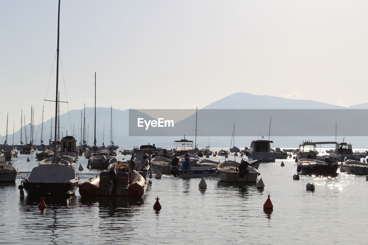 Boats moored in harbor