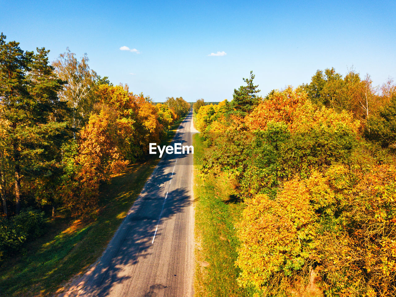 ROAD AMIDST AUTUMN TREES AGAINST SKY