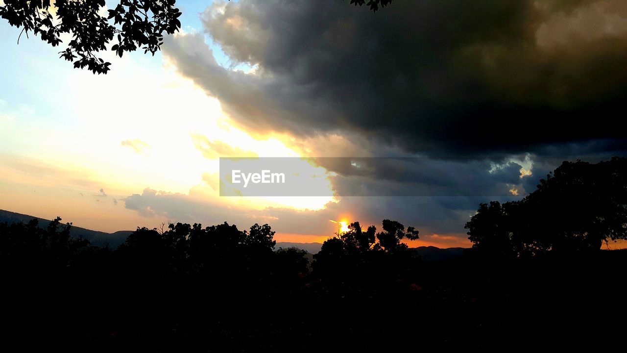 SILHOUETTE OF TREES AGAINST CLOUDY SKY