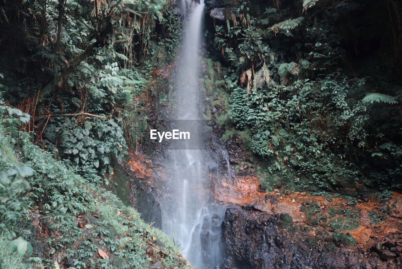 WATERFALL IN FOREST