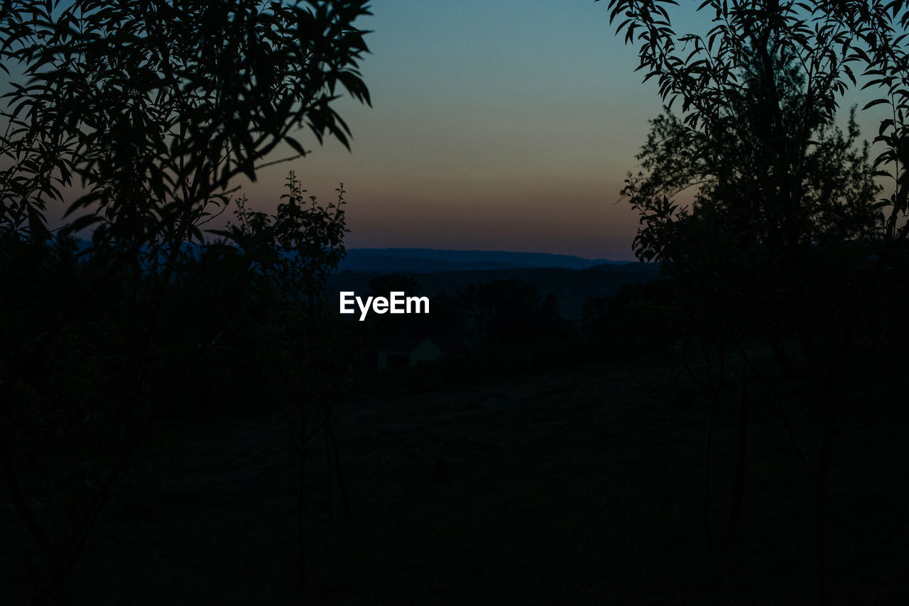 Scenic view of silhouette trees against clear sky at sunset