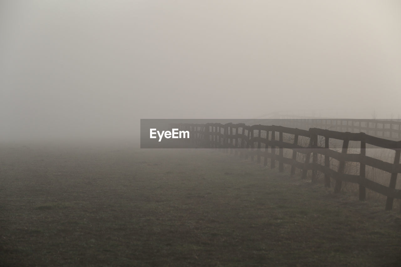 Morning mist in the pasture