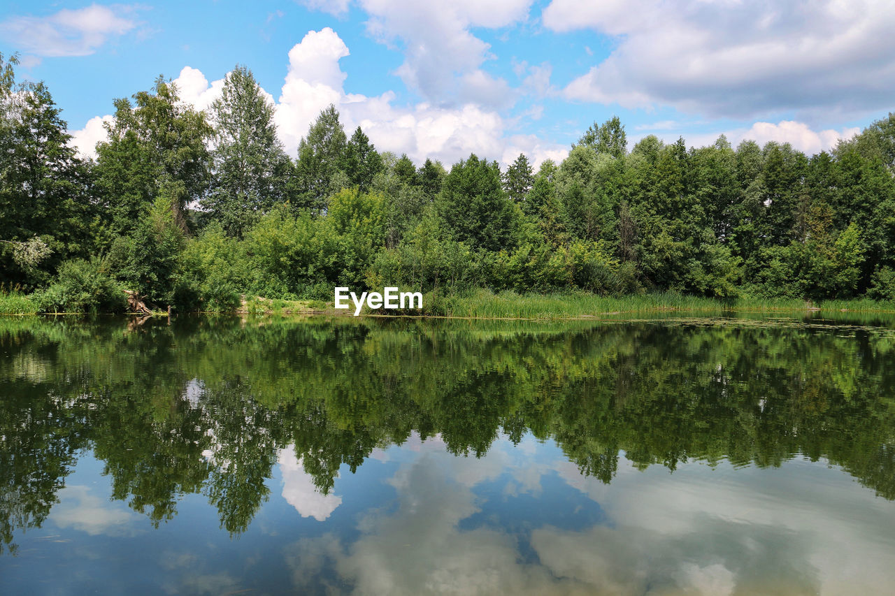 SCENIC VIEW OF LAKE BY TREES AGAINST SKY