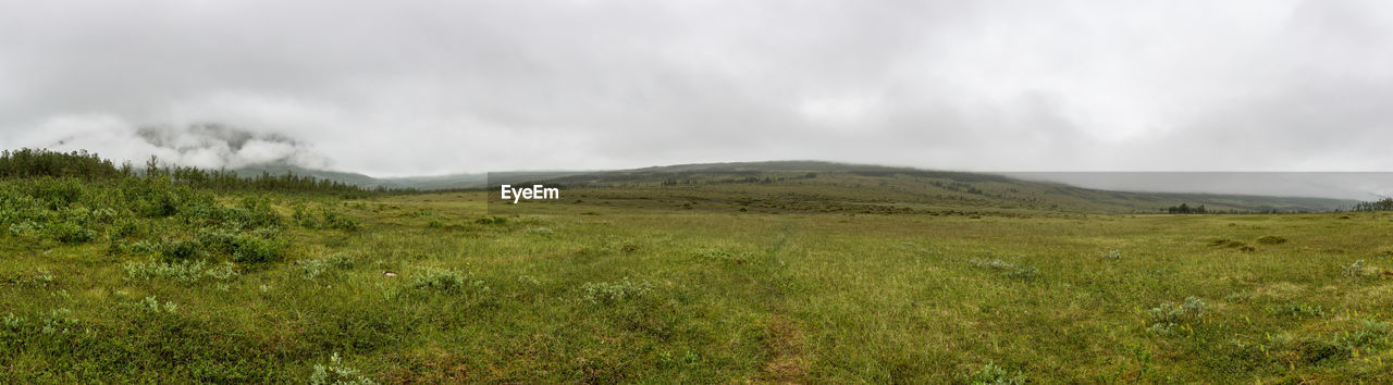 Panoramic view of green landscape against sky