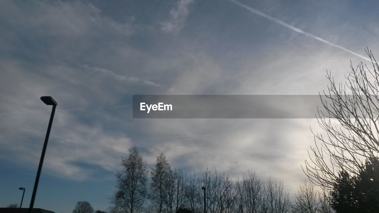 LOW ANGLE VIEW OF TREES AGAINST CLOUDY SKY