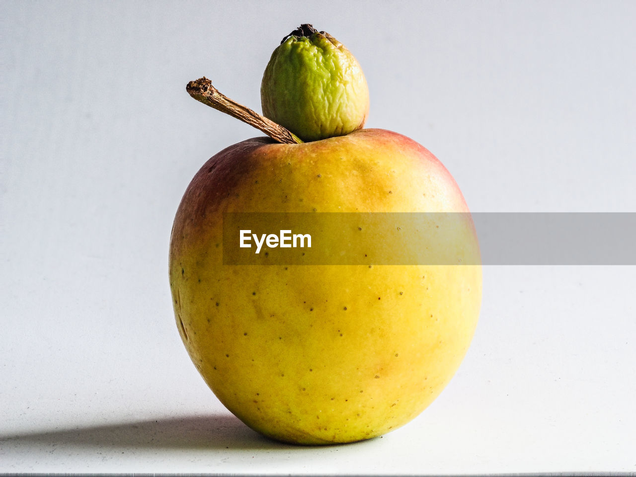 Close-up of apple against white background