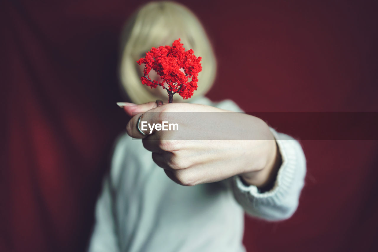 Close-up of woman holding red flowers over face