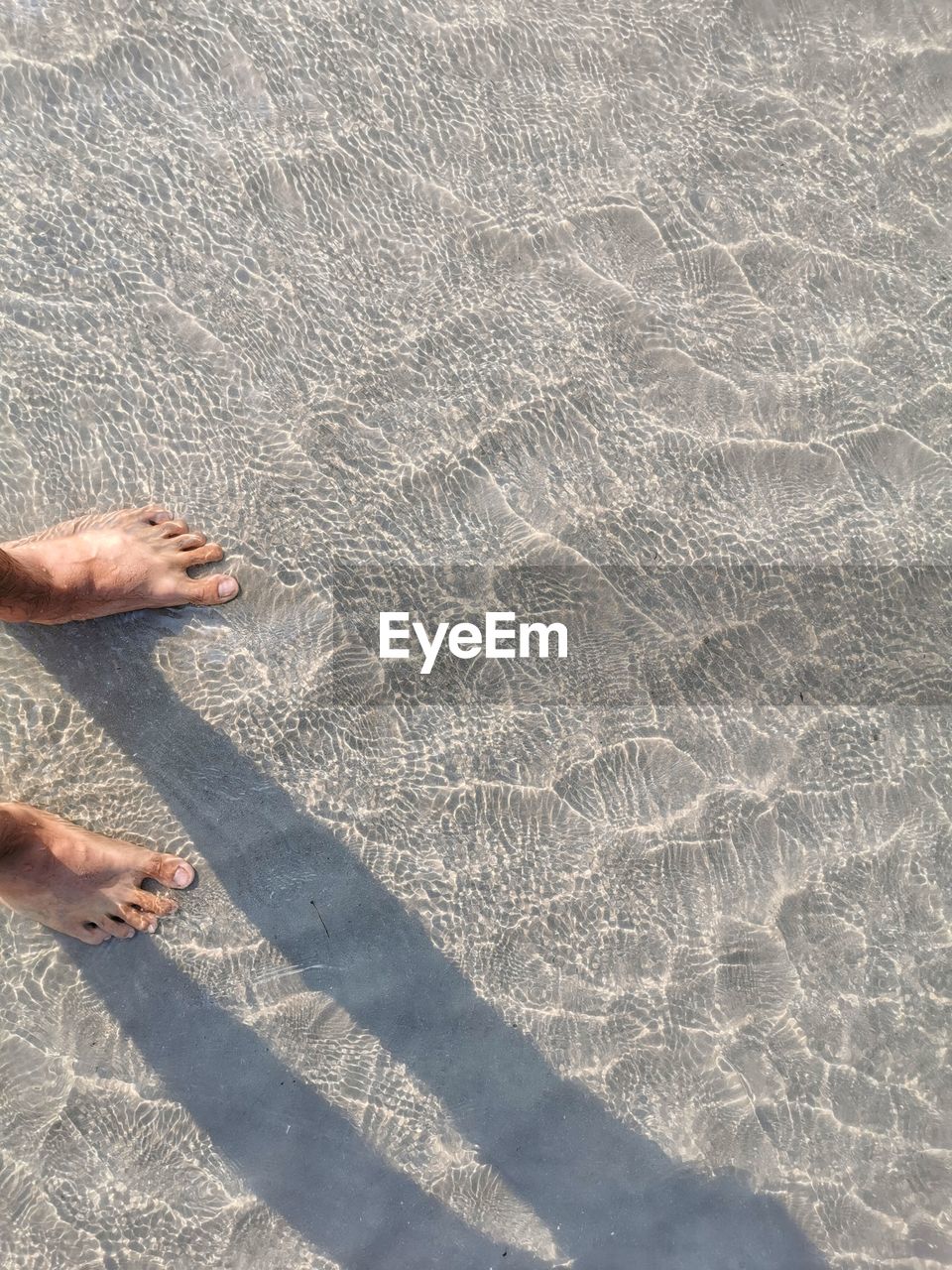 Low section of man standing at beach