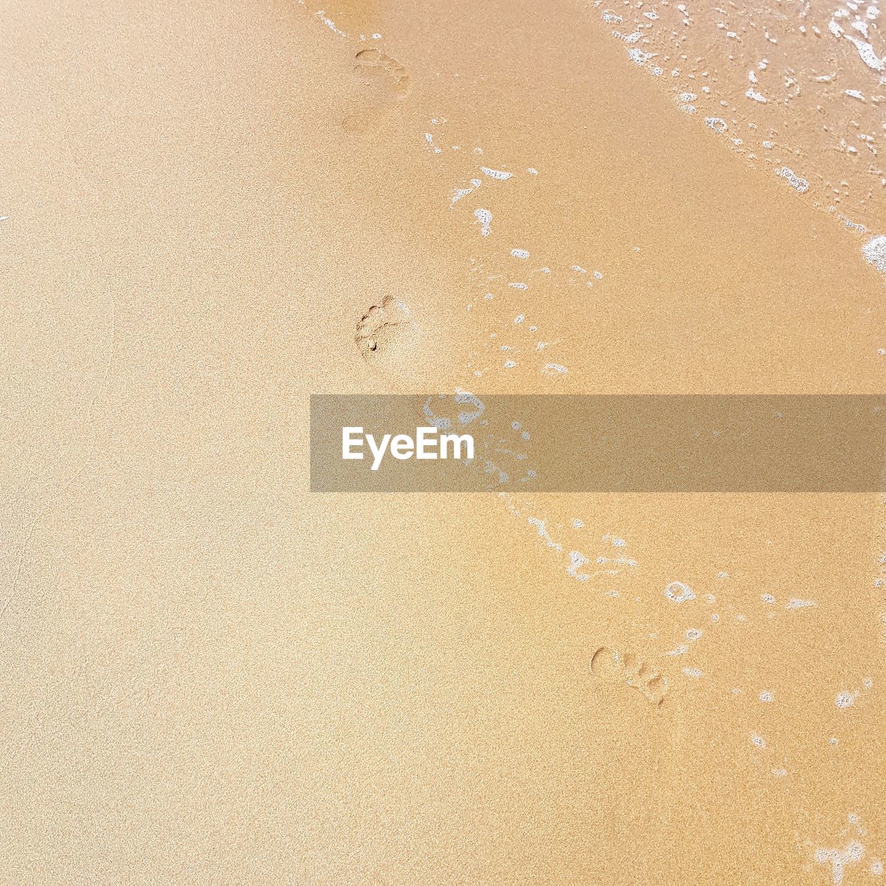 HIGH ANGLE VIEW OF FOOTPRINTS ON WET BEACH