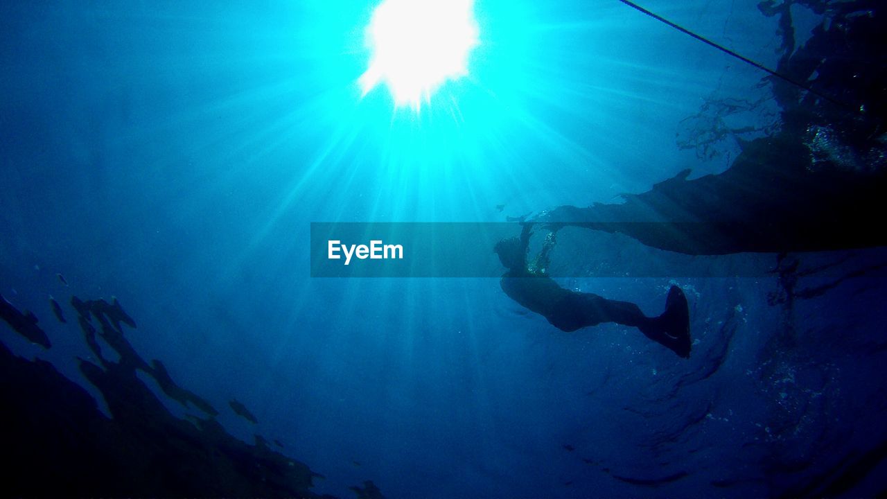 Low angle view of silhouette man swimming in sea