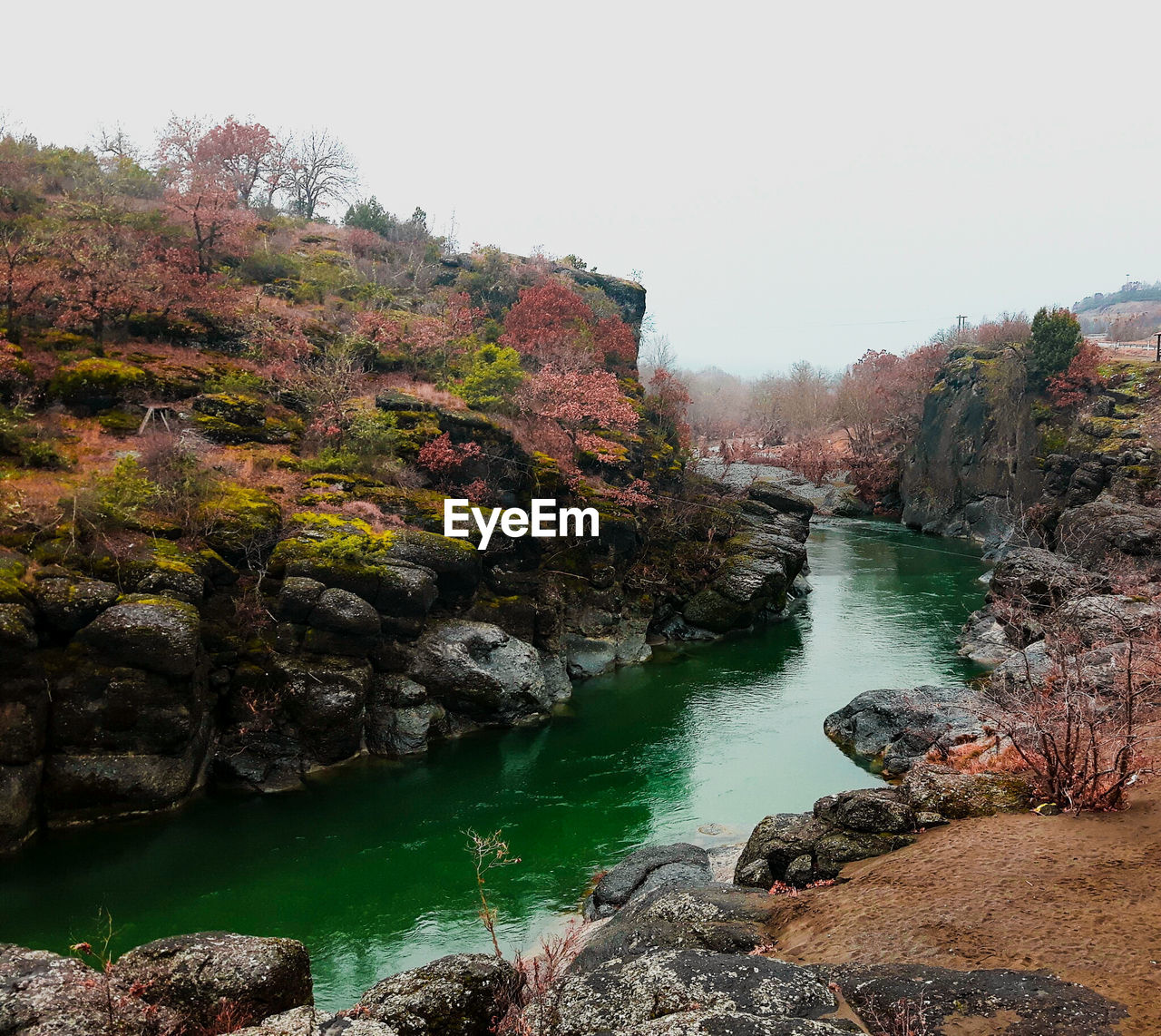 SCENIC VIEW OF RIVER AMIDST ROCKS IN FOREST