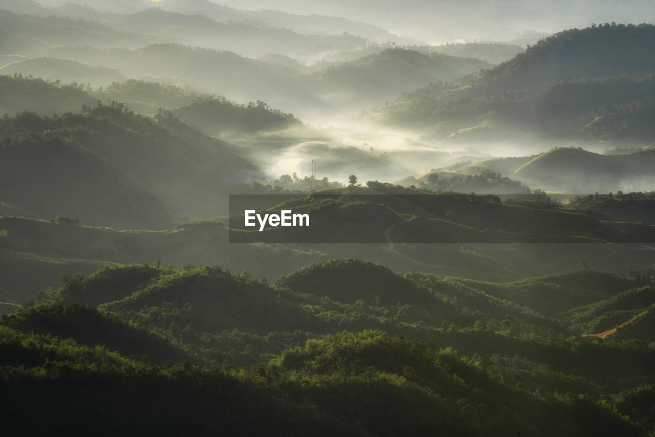 Scenic view of foggy landscape