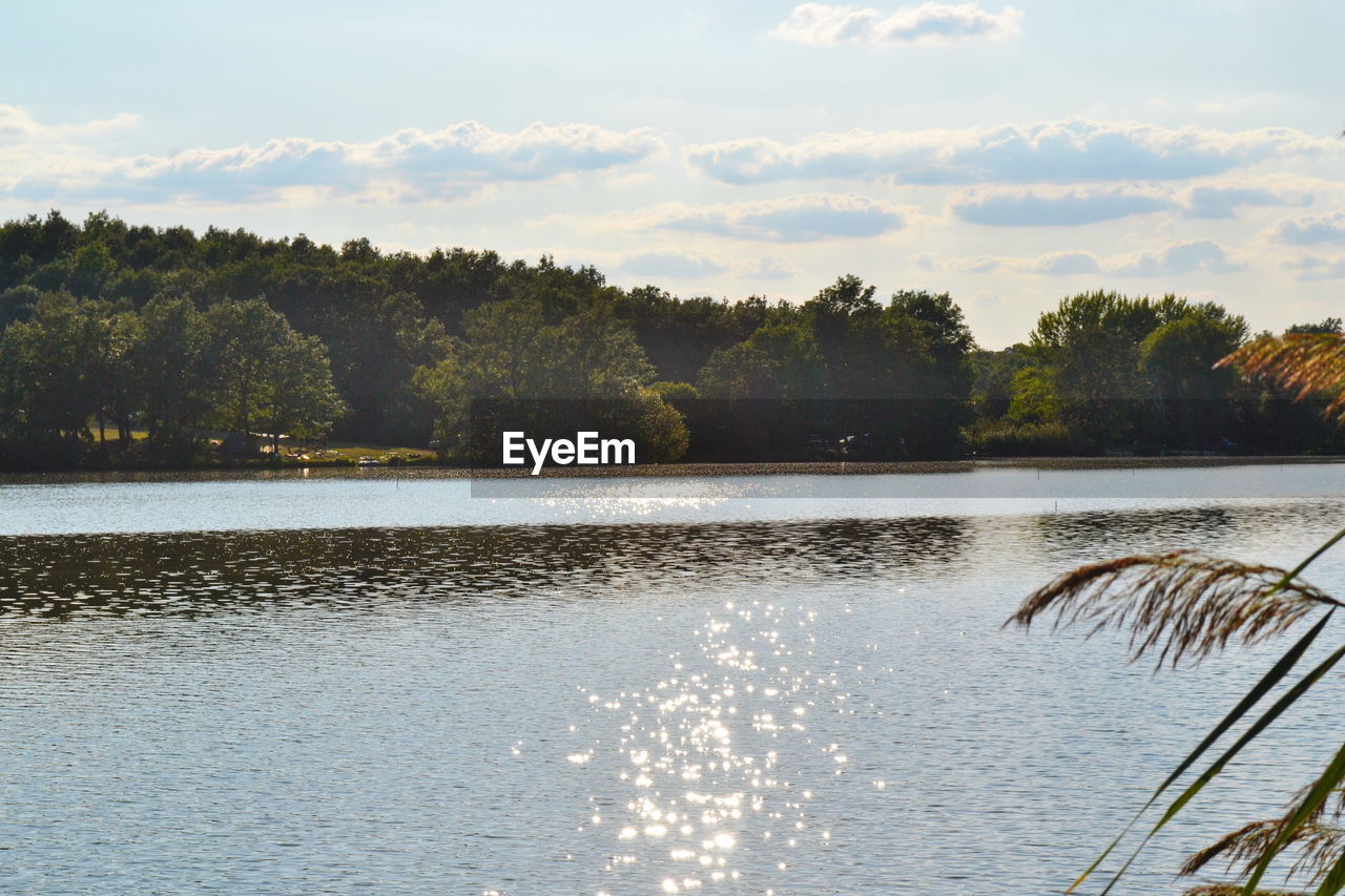 SCENIC VIEW OF LAKE AGAINST TREES