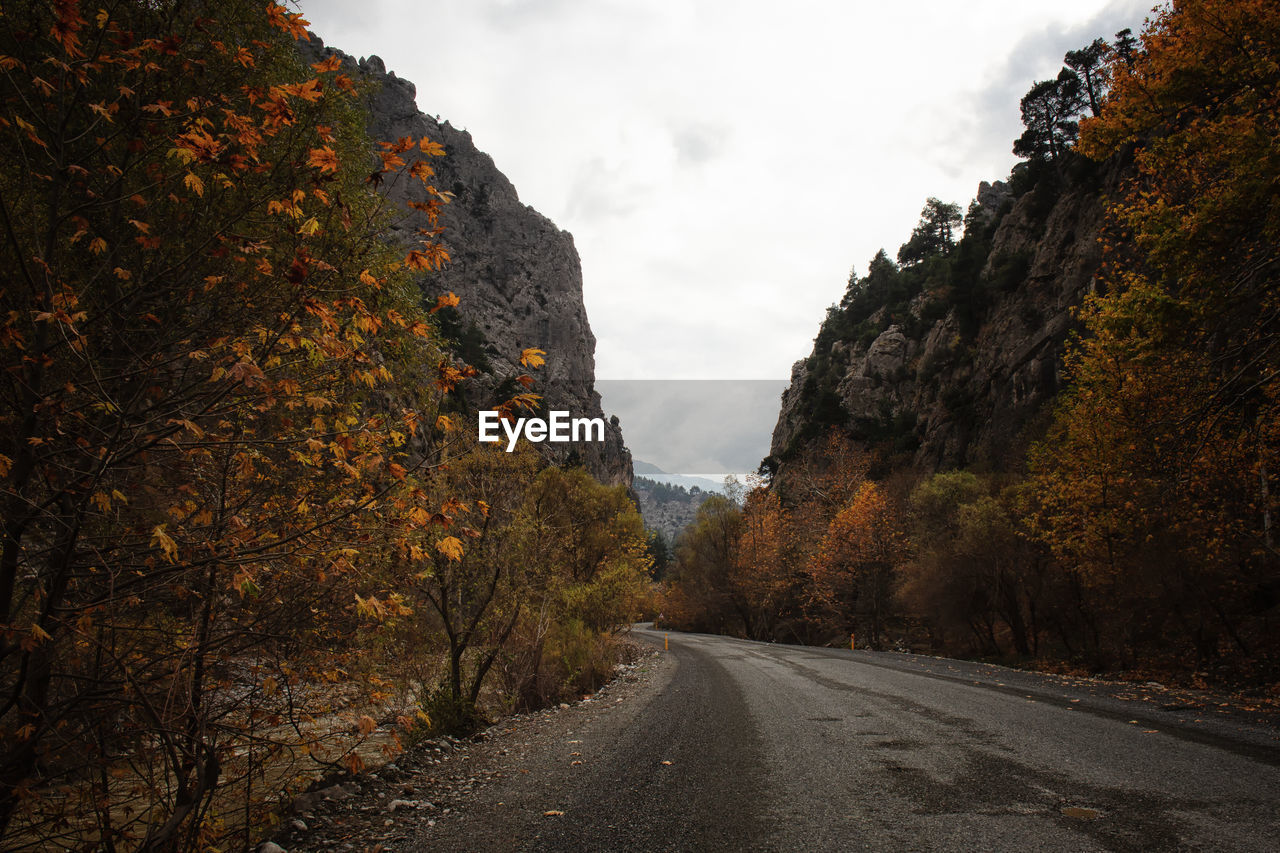 Road amidst trees against sky during autumn