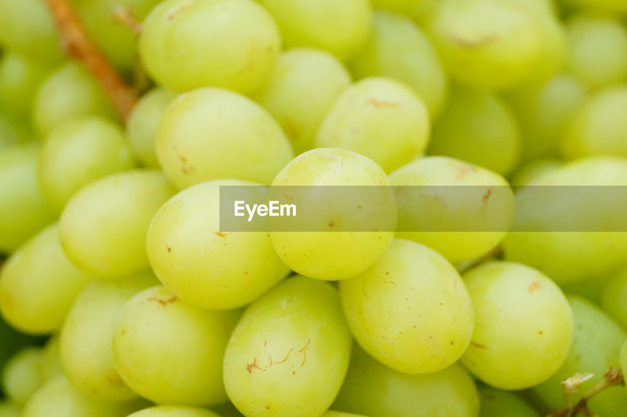 FULL FRAME SHOT OF FRUITS