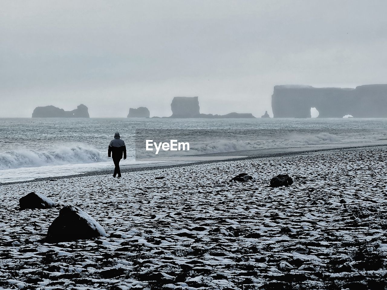 Rear view of man standing on beach against sky