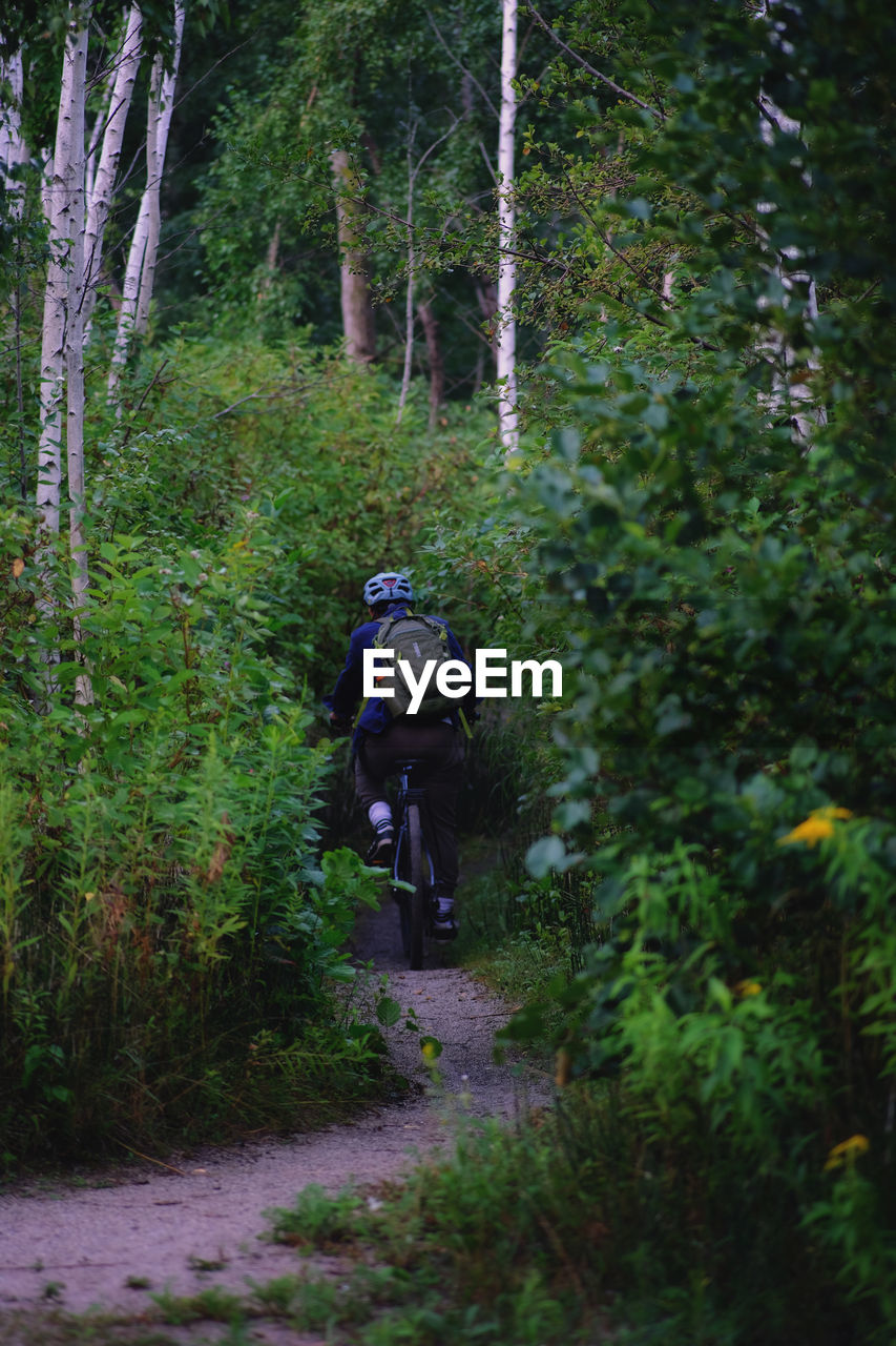 Rear view of man riding bicycle in forest