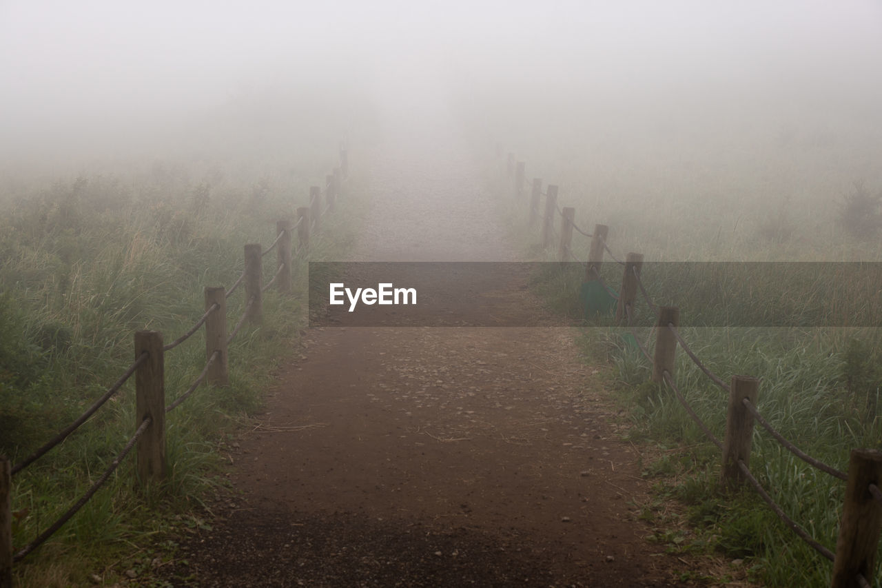 Scenic view of field during foggy weather