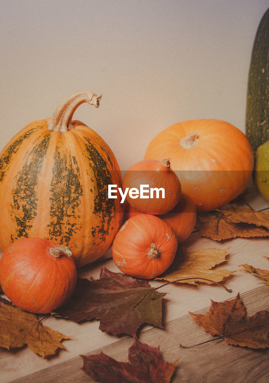 CLOSE-UP OF PUMPKIN ON TABLE