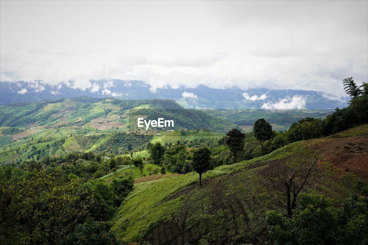 SCENIC VIEW OF LAND AGAINST SKY