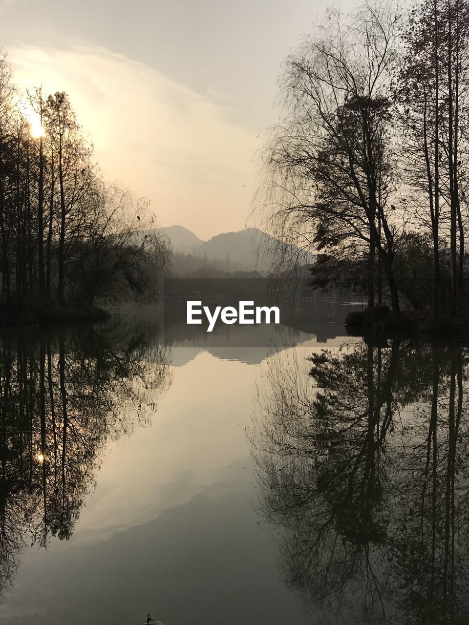 Reflection of trees in lake