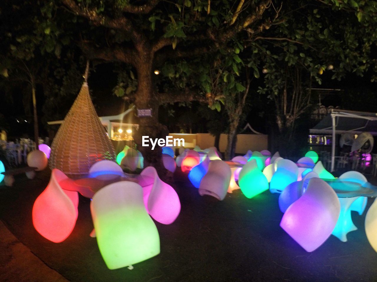 LANTERNS HANGING ON TREE