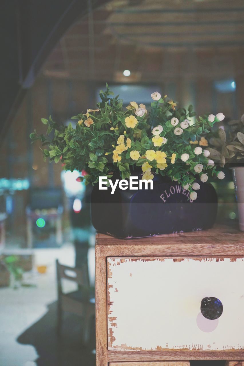 CLOSE-UP OF POTTED PLANT ON TABLE BY WALL