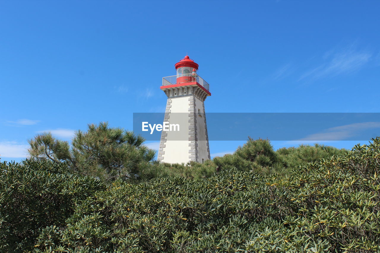 LOW ANGLE VIEW OF LIGHTHOUSE AMIDST PLANTS AGAINST SKY