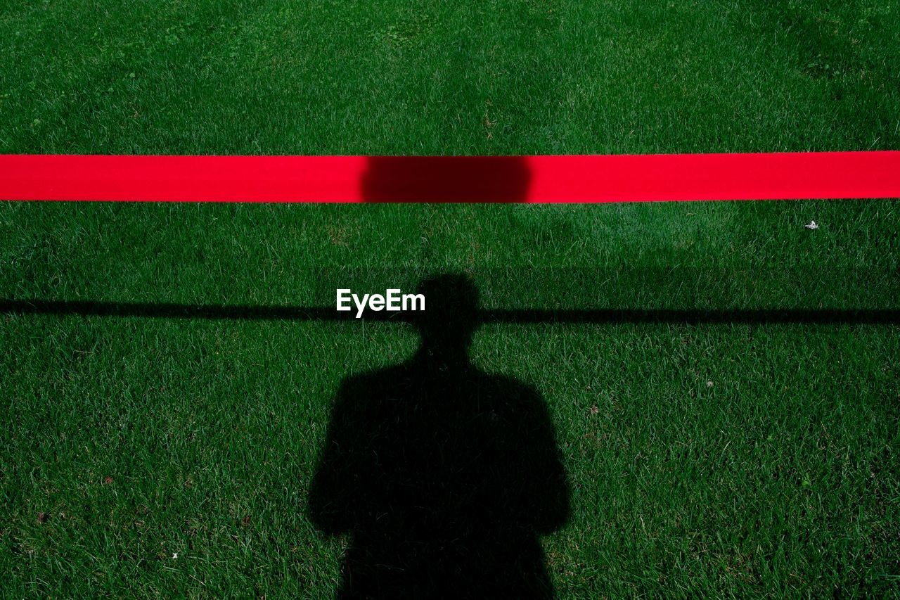 Tiny red line on gras with shadow