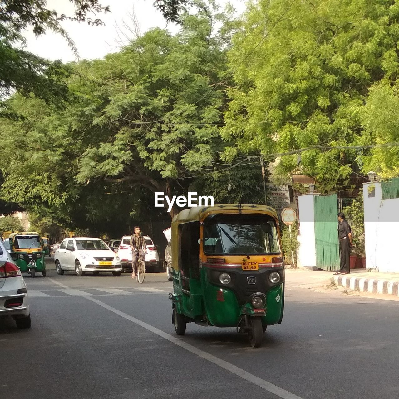 CARS ON ROAD AGAINST TREES