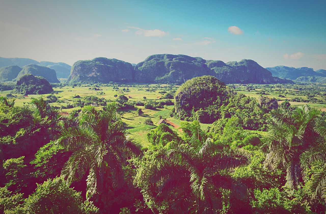 Idyllic shot of green landscape against sky in vinales national park