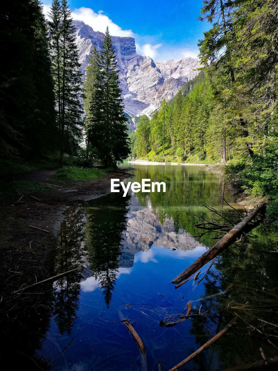 Scenic view of lake by trees against sky