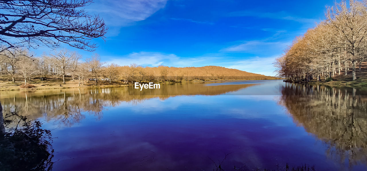 reflection, water, nature, tree, sky, plant, beauty in nature, scenics - nature, lake, autumn, morning, landscape, tranquility, tranquil scene, cloud, blue, no people, body of water, environment, dawn, flower, outdoors, mountain, non-urban scene, wilderness, idyllic, travel destinations, land, day, winter, reservoir, bare tree, sunlight