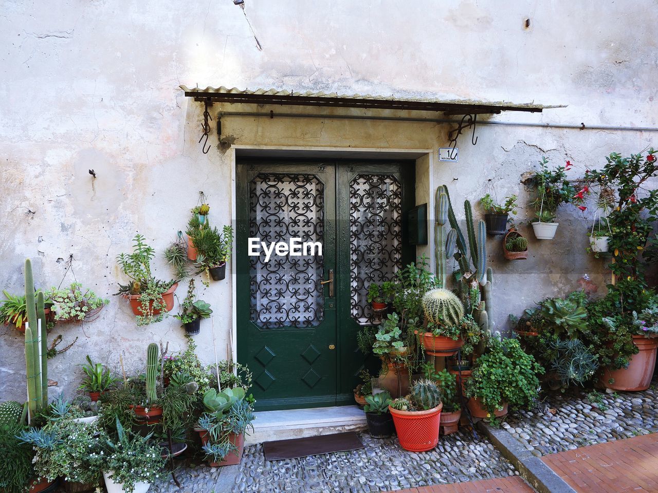 POTTED PLANTS ON HOUSE