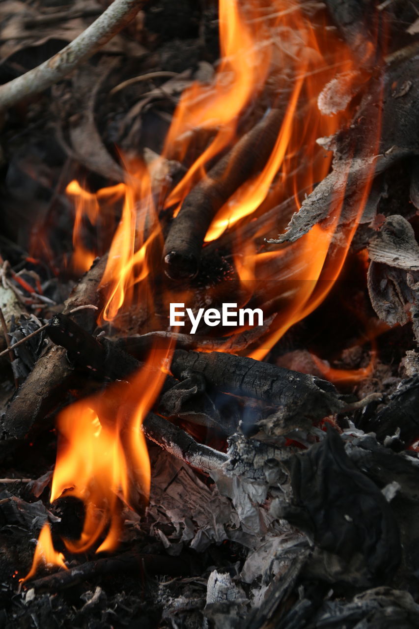 Close-up of bonfire at night