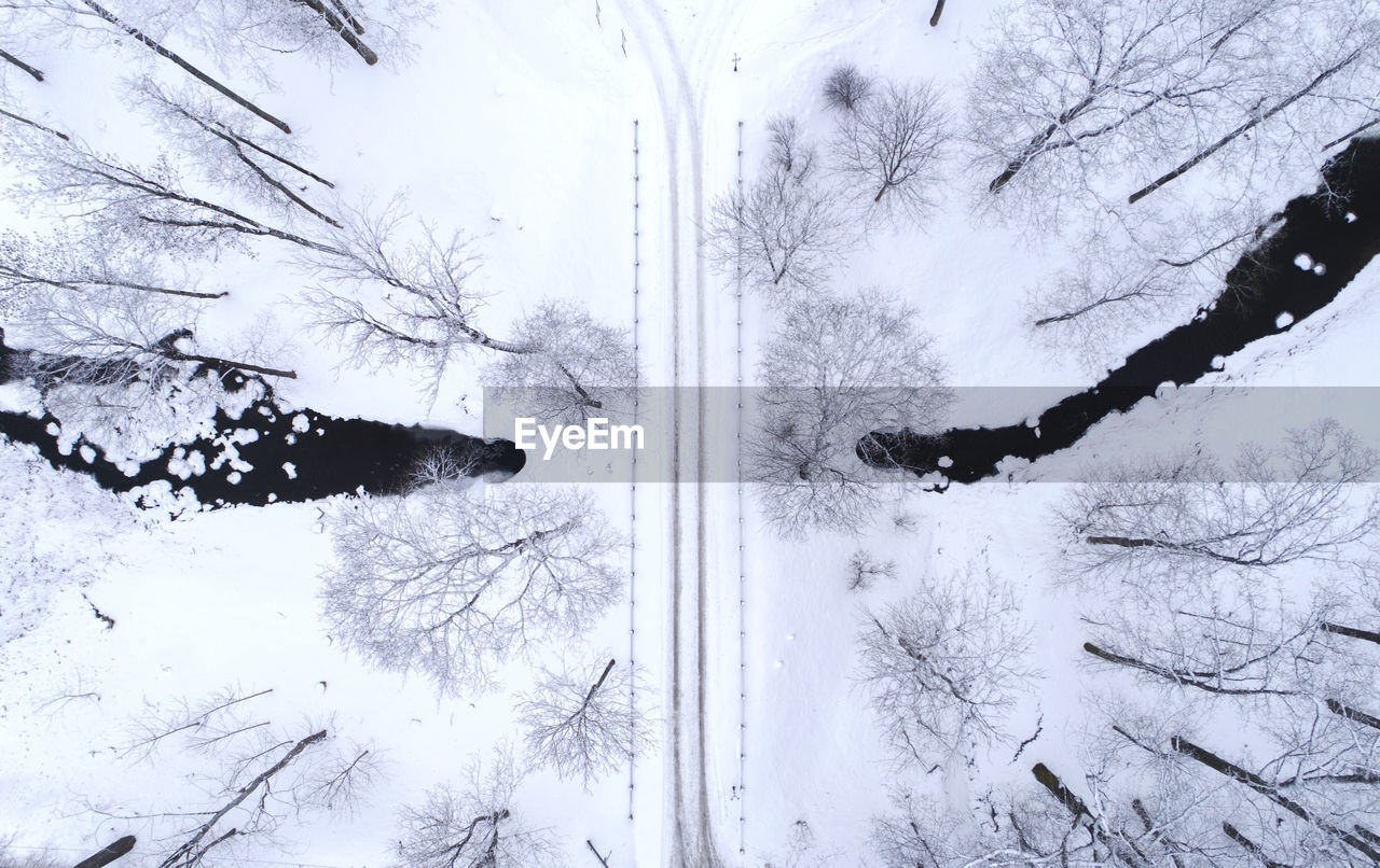 CLOSE-UP OF BARE TREES IN SNOW