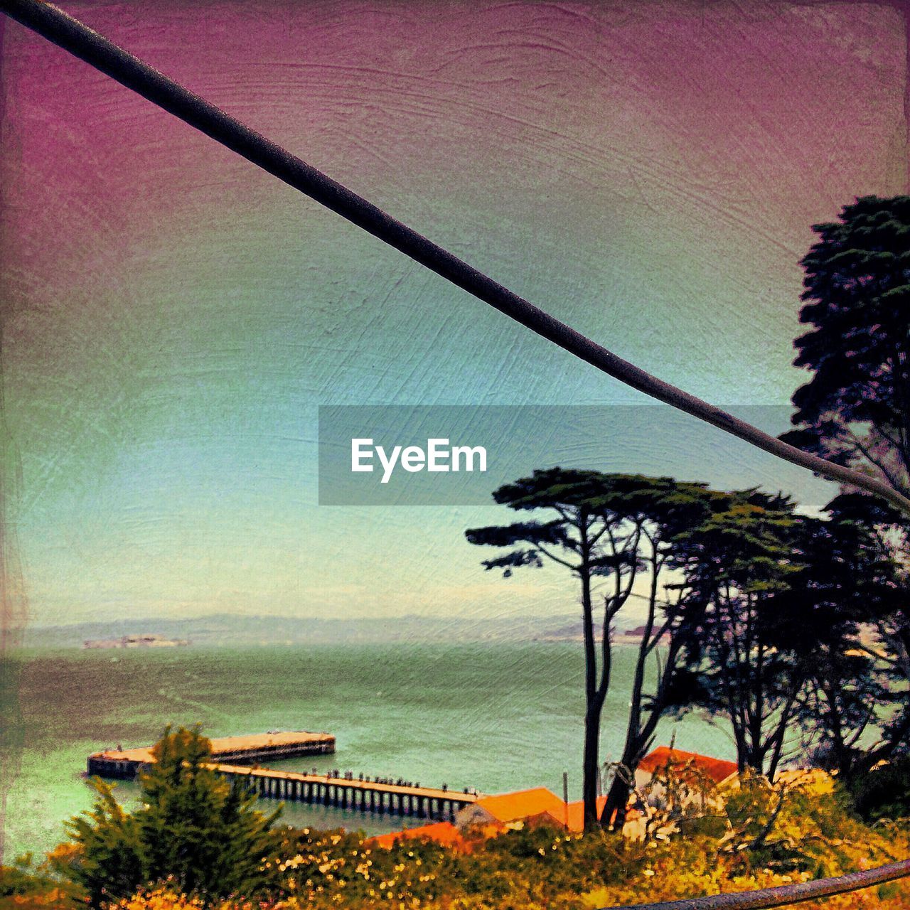 SCENIC VIEW OF SEA WITH TREES IN BACKGROUND