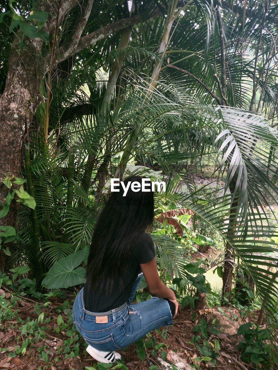 REAR VIEW OF YOUNG WOMAN AGAINST PALM TREES