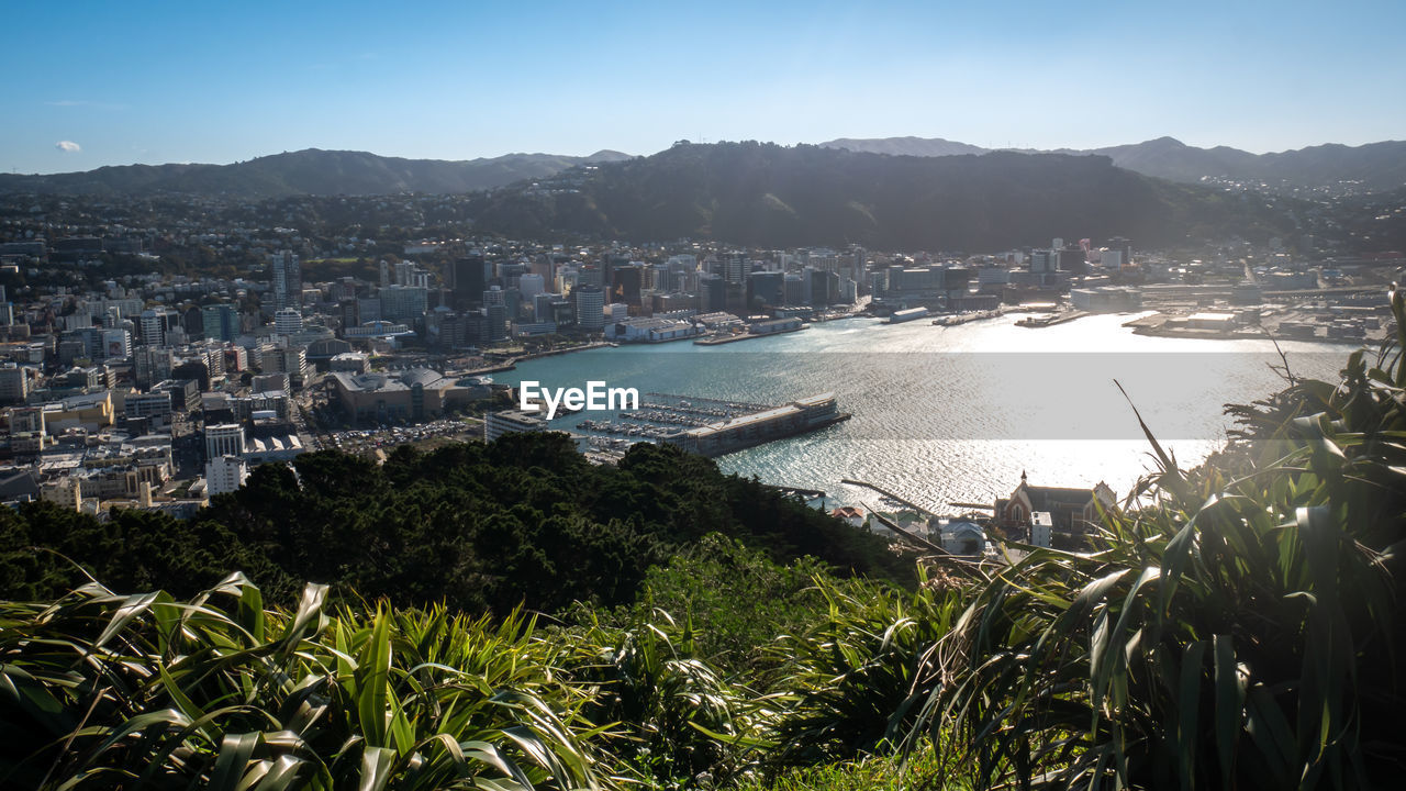 View on wellington from mountain lookout,shot from mount victoria, wellington, new zealand