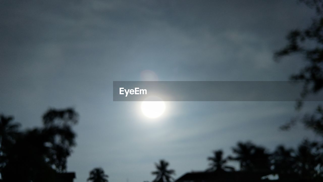 LOW ANGLE VIEW OF SILHOUETTE TREES AGAINST MOON