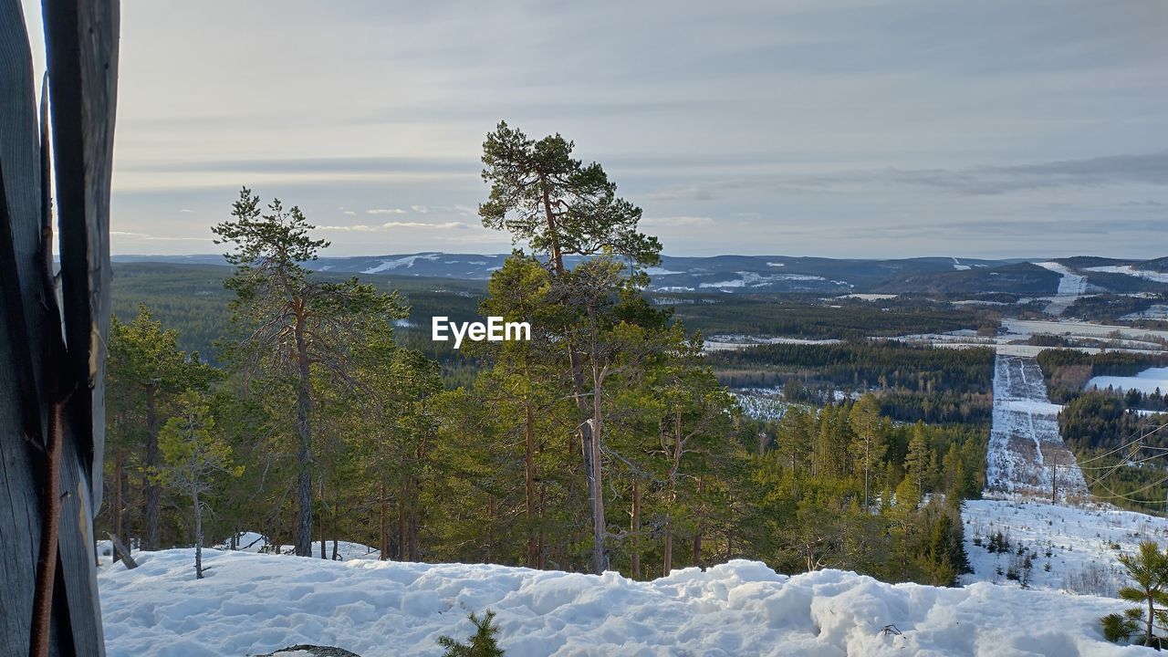 winter, snow, scenics - nature, cold temperature, plant, beauty in nature, nature, tree, environment, sky, mountain, tranquility, landscape, tranquil scene, land, no people, wilderness, day, non-urban scene, cloud, pinaceae, coniferous tree, mountain range, outdoors, water, pine tree, travel, forest, idyllic, pine woodland, travel destinations, ice, remote