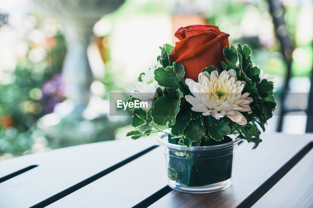 Close-up of flower pot on table