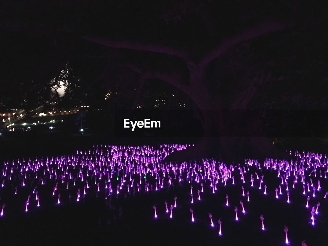 PEOPLE ENJOYING MUSIC CONCERT AT NIGHT