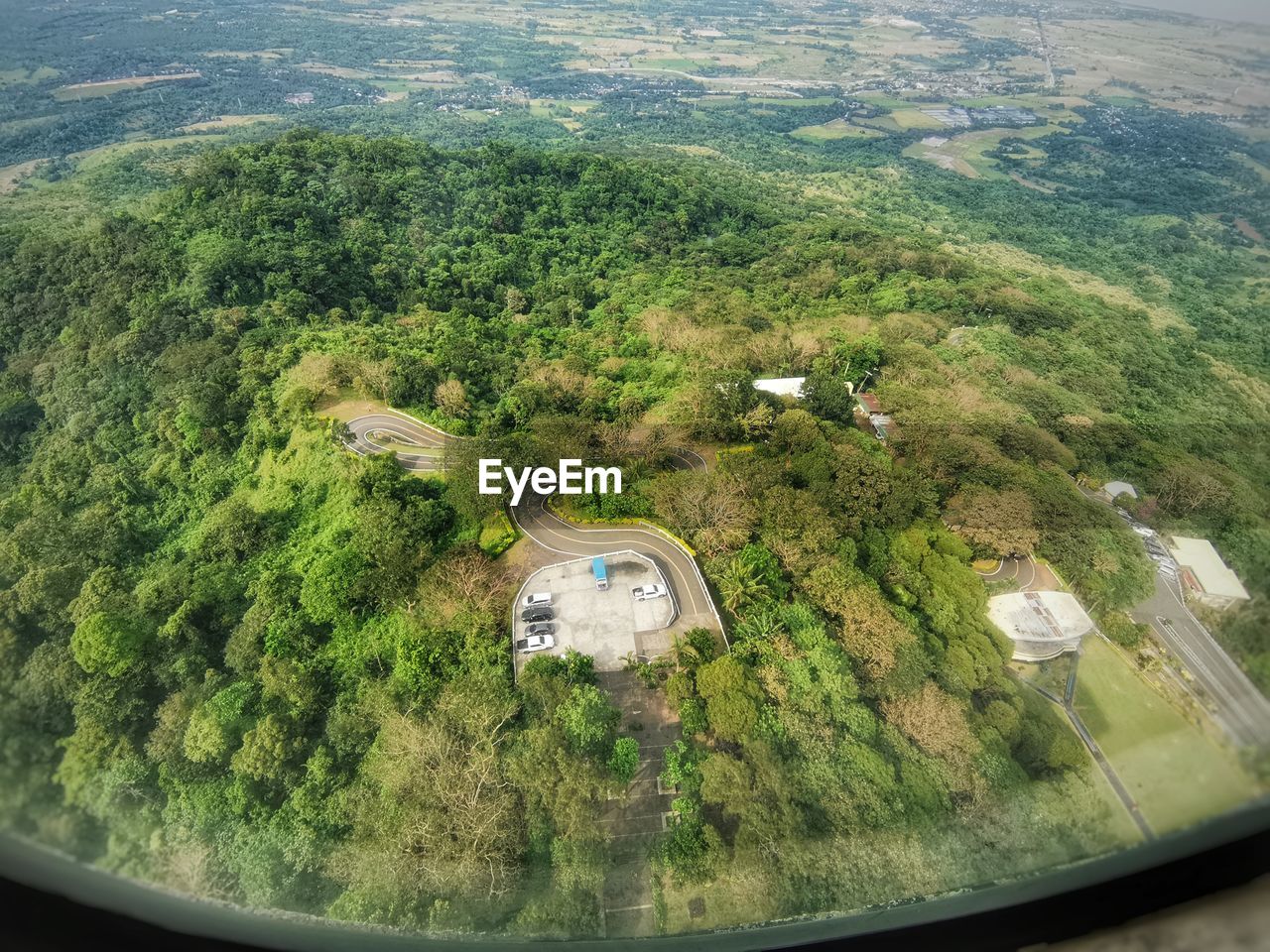 HIGH ANGLE VIEW OF TREES BY CAR WINDOW