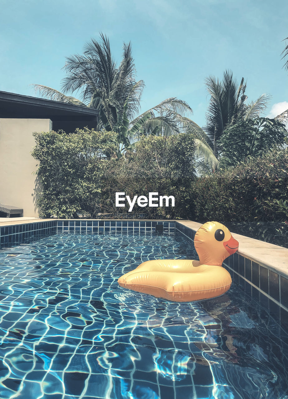 View of inflatable ring in swimming pool