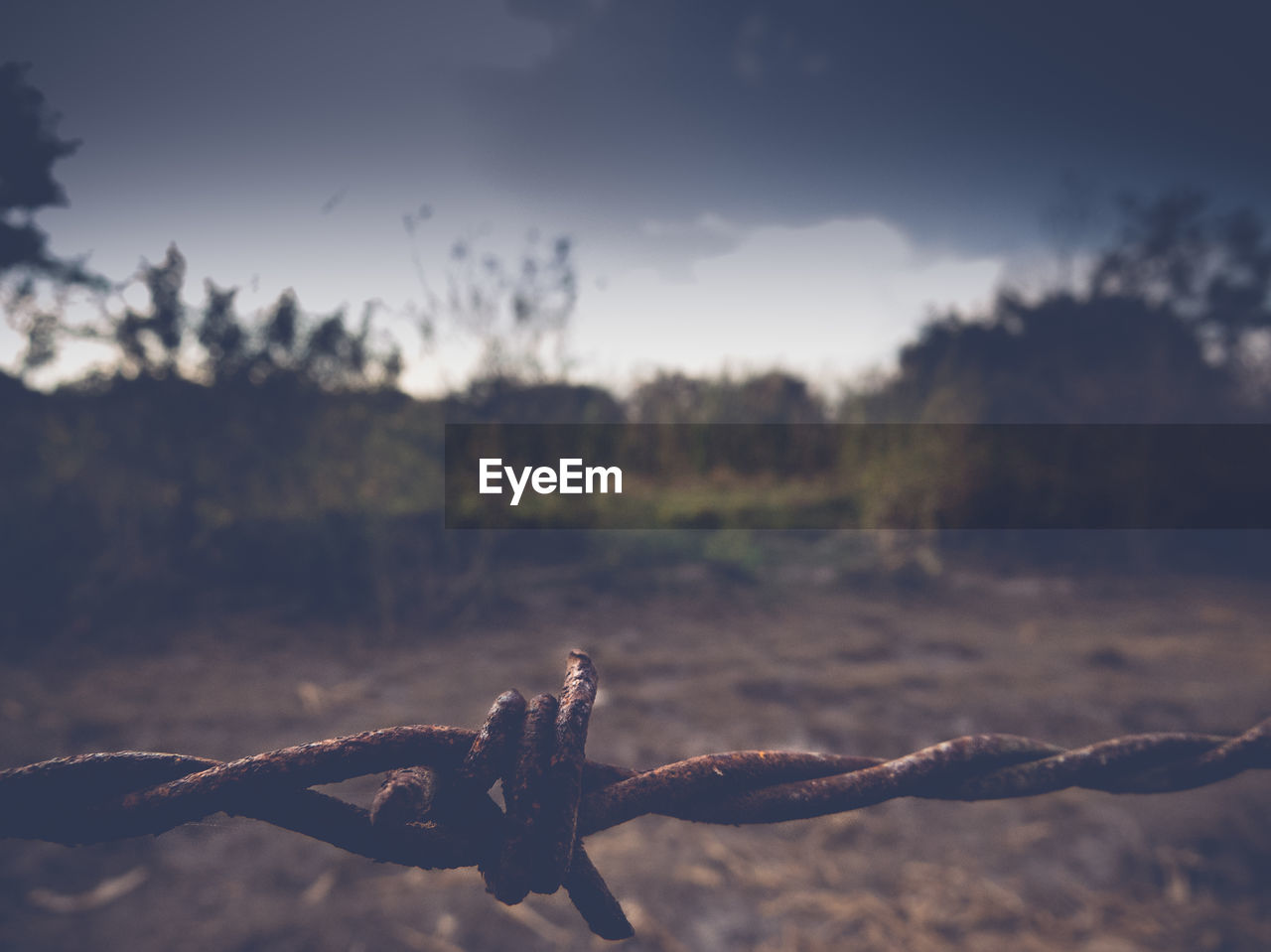 Close-up of rusty barbed wire fence on field against sky