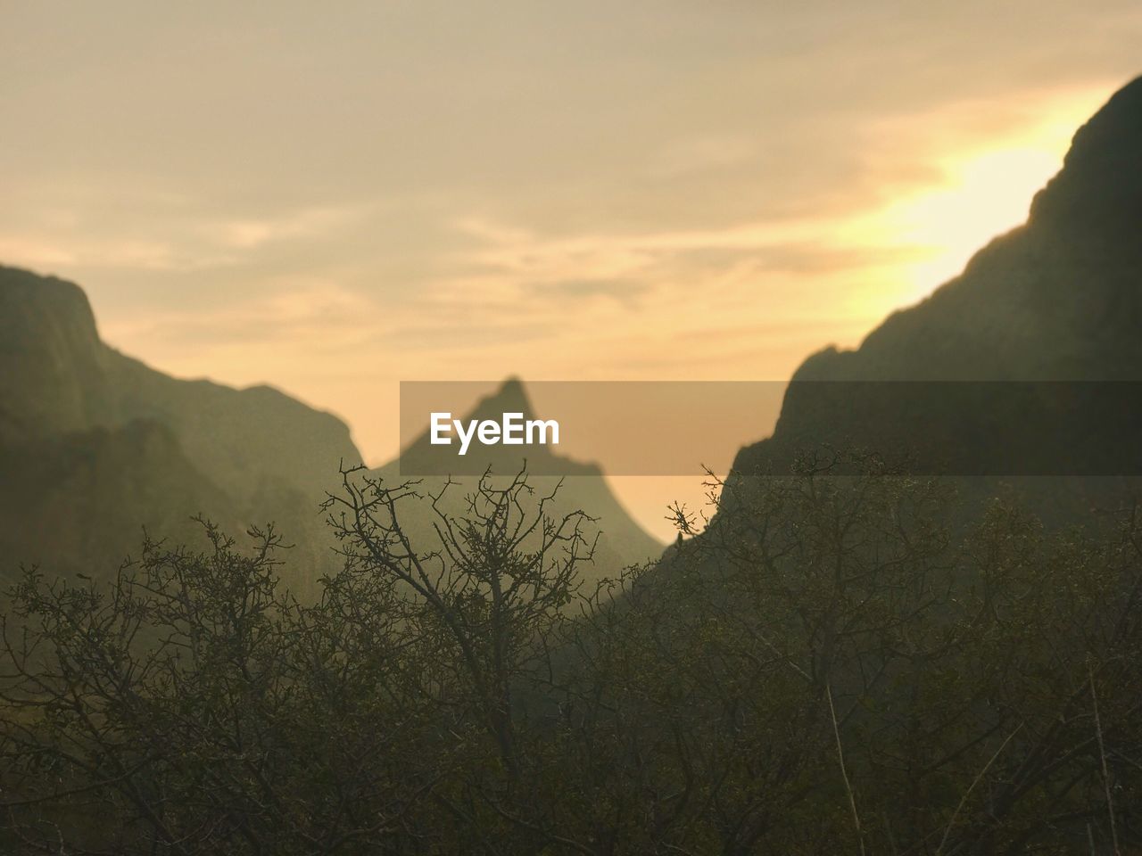 SCENIC VIEW OF TREE MOUNTAINS AGAINST SKY DURING SUNSET