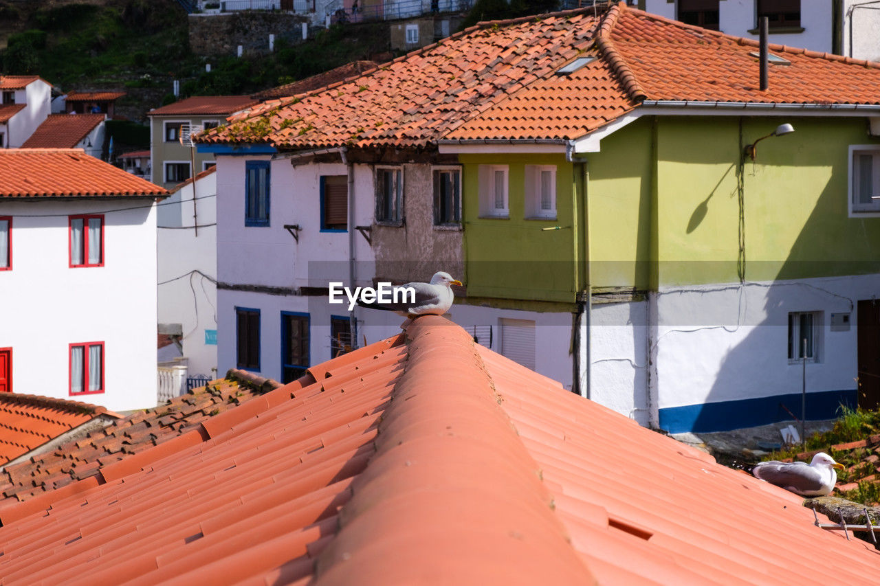high angle view of houses in city