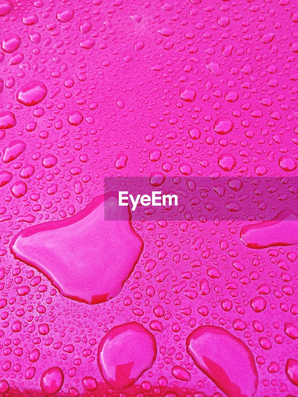 Close-up of wet pink table